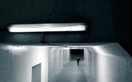 Aku Mendengar Teriakan Itu Lagi Apakah Kau Juga Mendengarnya