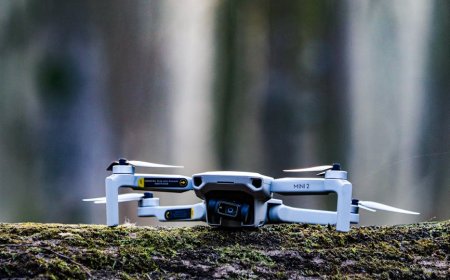 Cara Jepang Pakai Drone dan AI Cegah Serangan Beruang