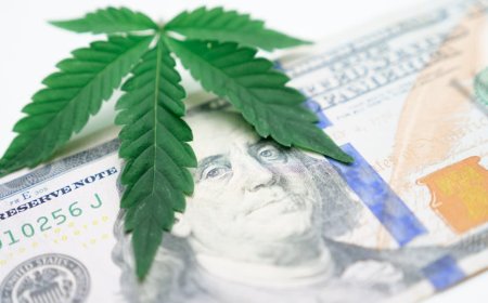 Mengapa Bank Besar Masih Ragu Danai Industri Cannabis Setelah Reklasifikasi