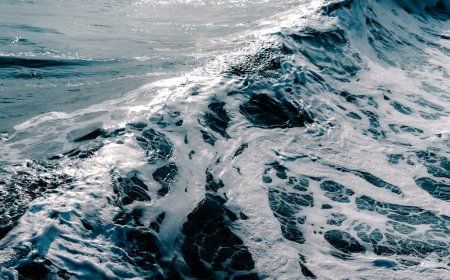 IMF Ungkap El Salvador Siap Jual Dompet Bitcoin Chivo