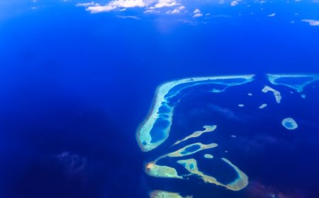 Indonesia Champions Blue Carbon for Derawan’s Ocean Conservation