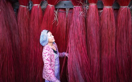 Weaving Threads of Indonesia: Ancestral Roots and Colonial Echoes