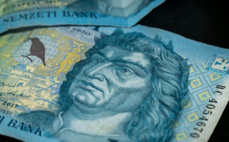 Dampak Kritik Pemerintah Hungaria terhadap Suku Bunga dan Nilai Forint