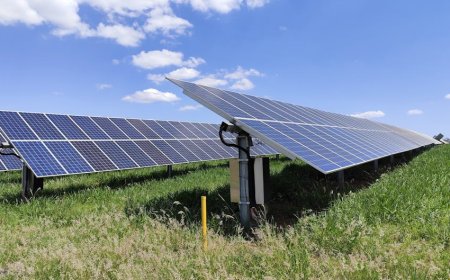 Dampak Regulasi Baru Proyek Mega-Surya Jepang bagi Investor