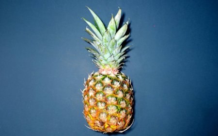 Bongkar Mitos Gizi dan Tidur Malam untuk Hidup Lebih Sehat