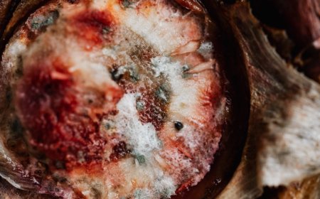 Peneliti Temukan Sumber Energi Baru untuk Kehidupan di Europa