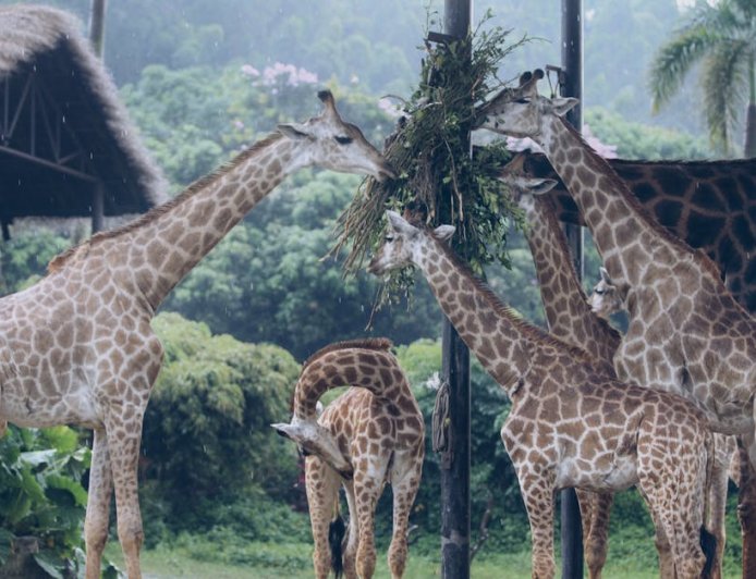 Liburan Singkat Seru Bareng Keluarga Temukan Hidden Gems 2026