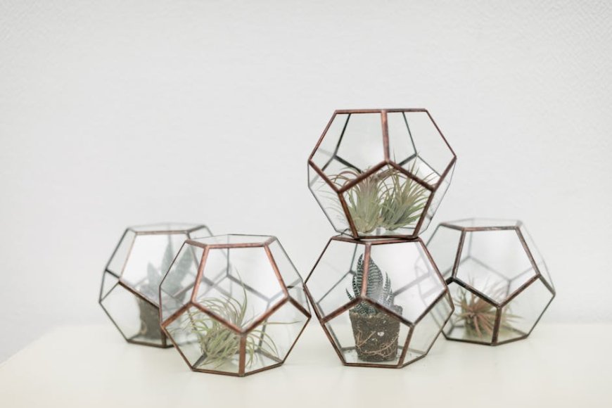 Cara Praktis Membuat Terrarium Shinrin-Yoku Mini di Ruangan Sempit