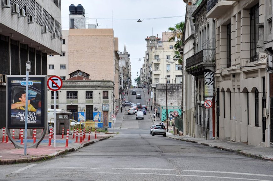 Tips Praktis Membentuk Komunitas Urban Foraging di Kota