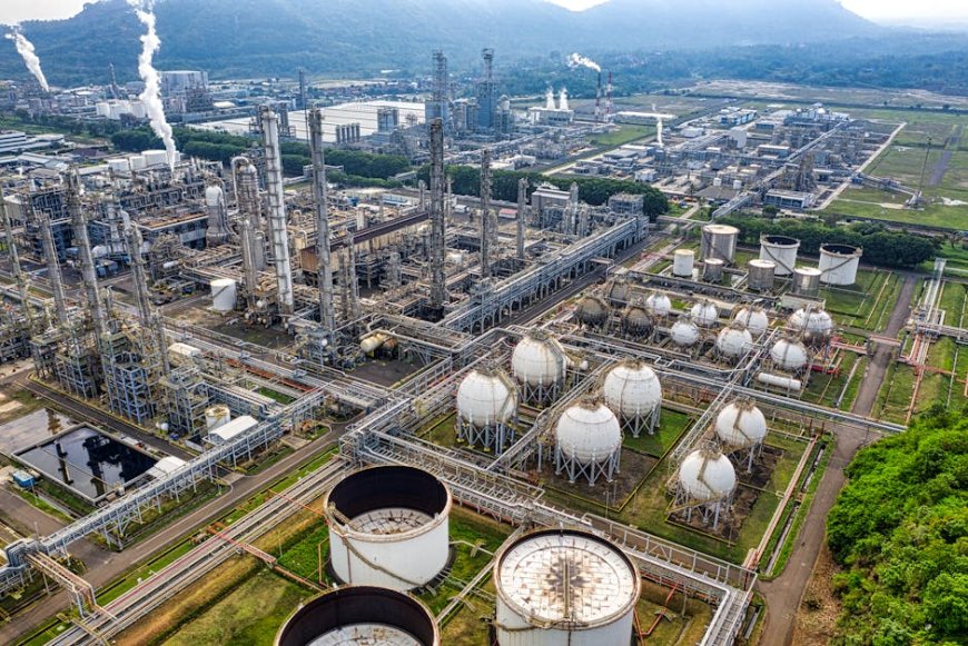 Peluang Investasi Sektor Riil: Belajar dari Hilirisasi Kelapa di Indonesia