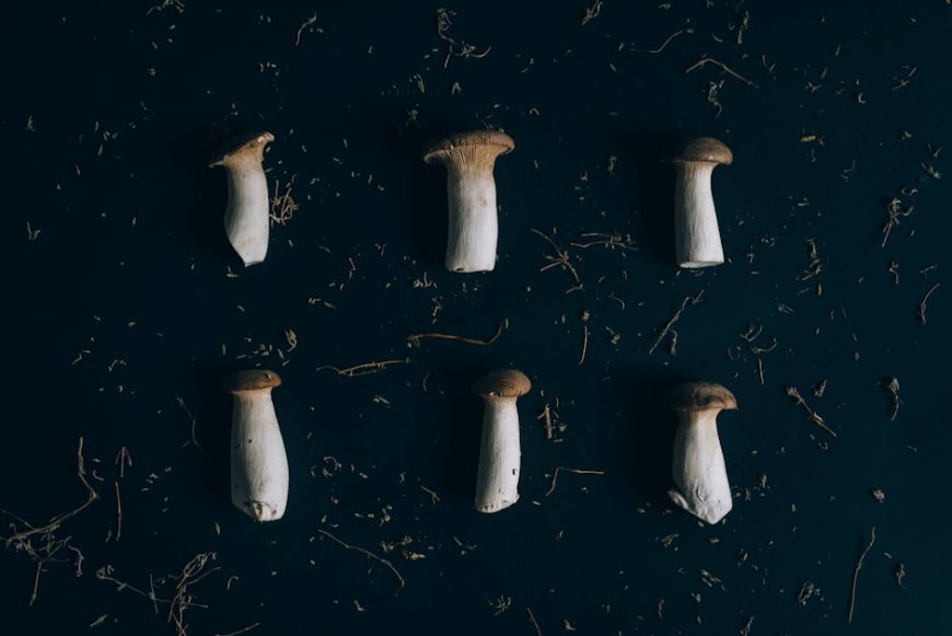 5 Resep Sederhana Masak Tanaman Liar Edible di Sekitar Kota