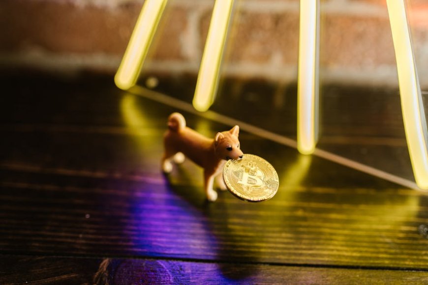 Shiba Inu Resmi Masuk Pasar Derivatif AS Lewat Coinbase