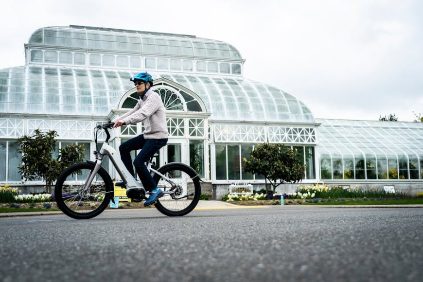 Rad Power Bikes Bangkrut Apakah E-bike Masih Jadi Pilihan Aman