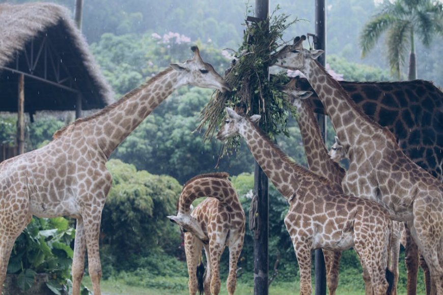 Liburan Singkat Seru Bareng Keluarga Temukan Hidden Gems 2026