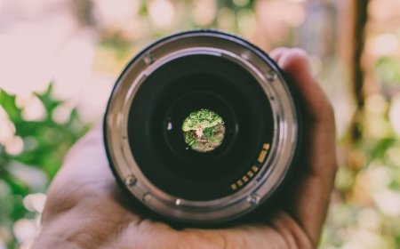 Kamera Eksperimental Ini Bisa Fokus di Banyak Bidang Sekaligus