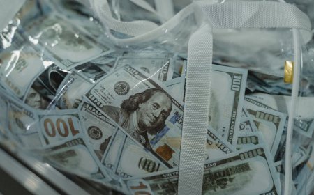 Investasi Tas Birkin vs Hedge Fund Mana yang Lebih Menguntungkan