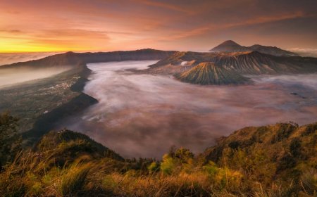 Smartphone Terbaru Januari 2026 di Indonesia Siap Bikin Penasaran