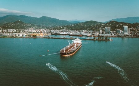 Indonesia Considers Palm Oil Levy Hike to Boost Biodiesel Market