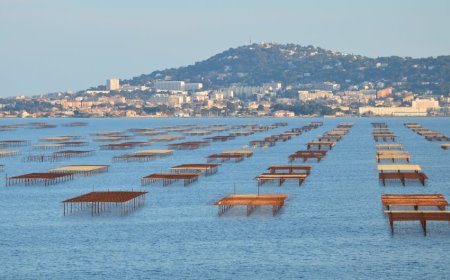 Indonesia’s Coastal Fishing Villages Boost Jobs and Conservation