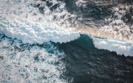 West Wetar Marine Reserve Boosts Indonesia’s Ocean Conservation