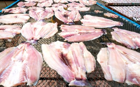 Indonesia’s Sustainable Fisheries: Meeting Global Standards Through Innovation