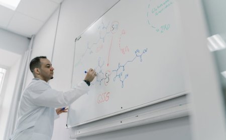 Fakta Tidur Malam dan Ilmuwan di Balik Mitos Kesehatan