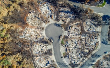 Mengupas Dampak Finansial Asuransi Pasca Kebakaran Hebat Los Angeles