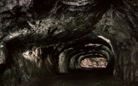 Investor Teknologi Soroti Penambangan Mineral Greenland di Tengah Isu Akuisisi AS