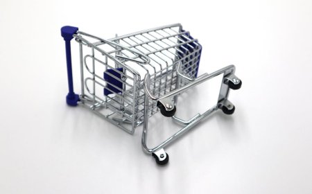 Dampak Jumlah Kematian Lebih Tinggi dari Kelahiran di Prancis pada Finansial