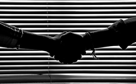 Dampak Perintah Pembelian MBS Trump Terhadap Pasar KPR dan Investasi