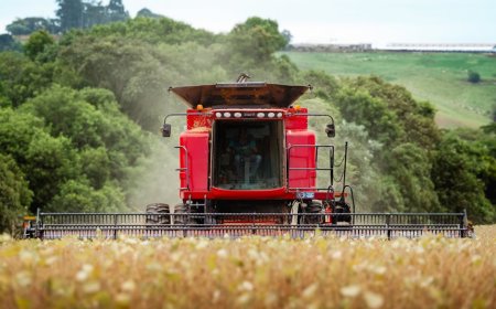 Cara Jitu Stabilkan Harga Bawang Merah dengan AI Sederhana