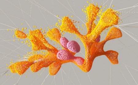 Apple Gandeng Google Bawa AI Canggih ke Siri Lebih Pintar