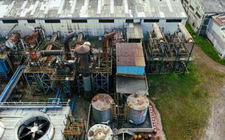 Indonesia’s B50 Biodiesel Plan Hinges on Oil and Palm Prices