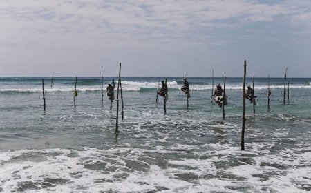 How Maluku’s Sasi Tradition Protects Indonesia’s Fisheries