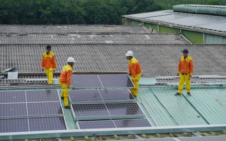 Indonesia’s Green Future: Biodiversity and Renewable Energy Progress