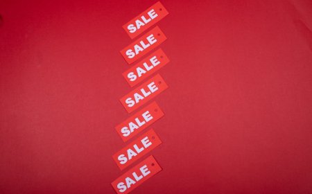 Mengapa $7.99 Menjadi Harga Ideal Game Indie di Steam?