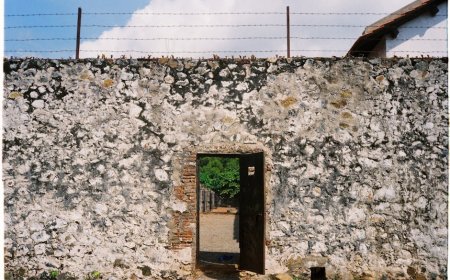 Tips Praktis Mendesain DAO Baru untuk Dispute dan Governance