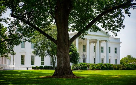 Raksasa Teknologi Kembali Tunduk pada Trump Setahun Pasca Inaugurasi