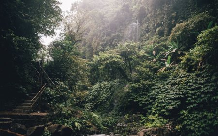 Indonesia’s Natural Wonders and Scientific Discoveries Unveiled