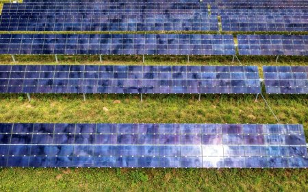 Revolusi Energi Terbarukan China Picu Perubahan Global Hijau