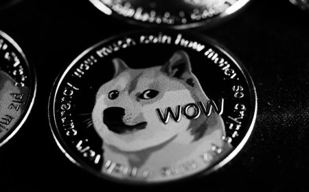 Harga Shiba Inu Anjlok Ini Penyebab dan Cara Menghadapinya