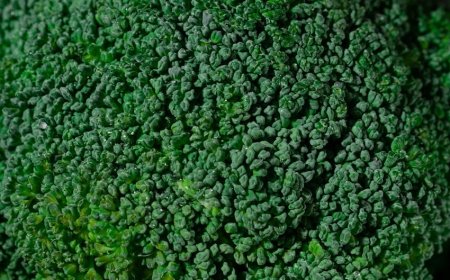 Fakta Brokoli dan Gen Antikanker yang Sering Disalahpahami