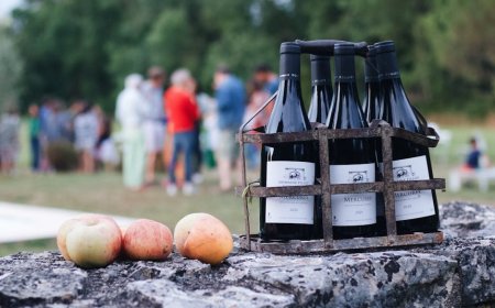 Dampak Tarif Impor 200 Persen AS pada Investasi Wine Prancis