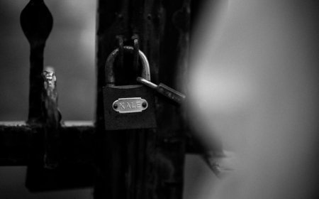 Nifty Gateway Tutup Operasi Apa Dampaknya untuk Pasar NFT