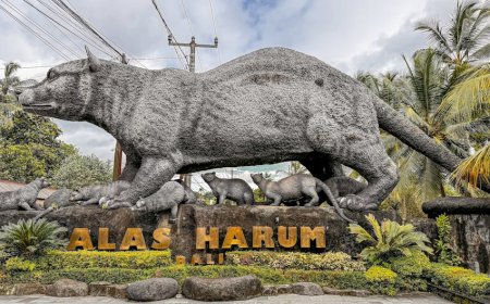 Tren Wisatawan di Bali 2025 dan Dampaknya bagi Masyarakat Lokal
