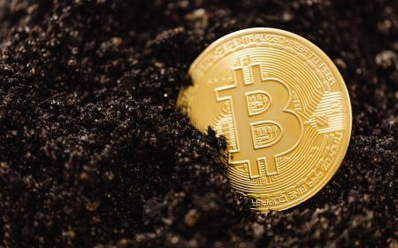 Badai Musim Dingin AS Turunkan Hash Rate Bitcoin Secara Drastis