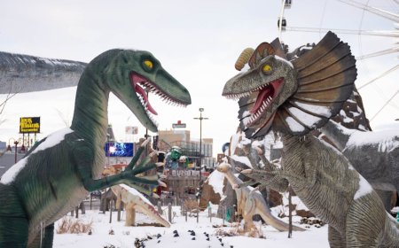 Mengintip Serunya PokéPark Kanto Taman Tema Pokémon Baru di Tokyo