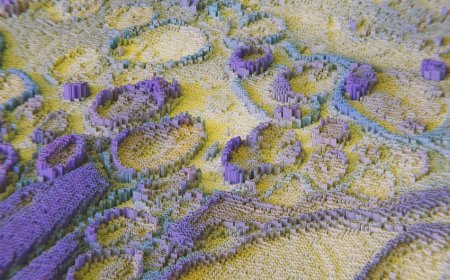 Mengupas Algoritma Canggih di Balik Gadget Modern dan Dampaknya