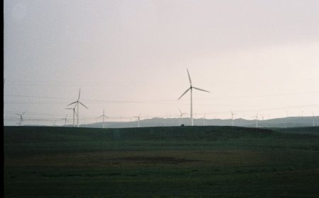 Dampak Pengurangan Emisi Listrik India China Terhadap Investasi Energi