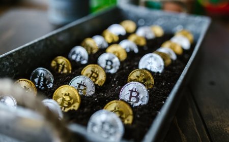 Dampak Proyek Energi Disetujui Senat pada Investasi dan Pinjaman Modal